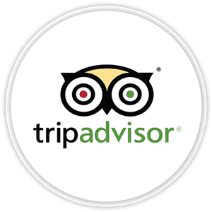 Trip Advisor Review