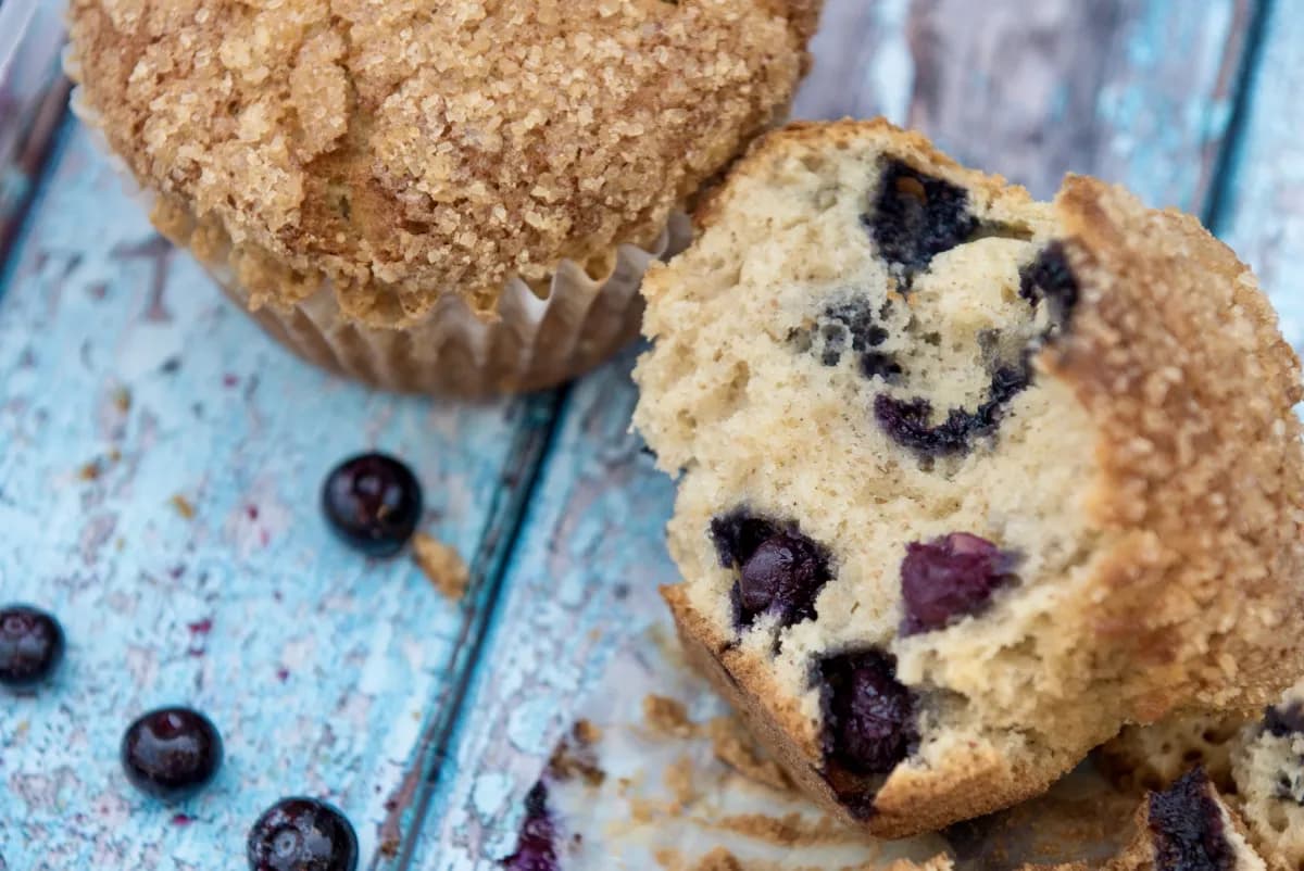 Blueberry Muffin